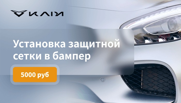 Установка защитной сетки в бампер – 5000 рублей